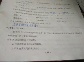 作文,樂園,校園