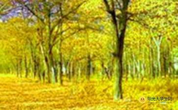 冬日校園美景作文