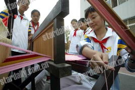 快樂科普進(jìn)校園作文400字,科普活動進(jìn)校園作文300字,科普進(jìn)校園作文500字