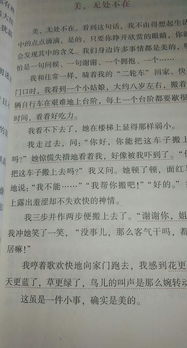 校園美好生活初三作文800字