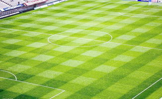 校園足球場(chǎng)環(huán)境的作文