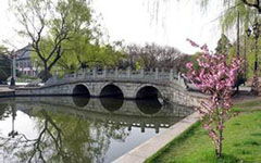 校園運(yùn)動(dòng)會(huì)作文四百字,秋天的校園作文四百字左右,我的校園作文四百字左右