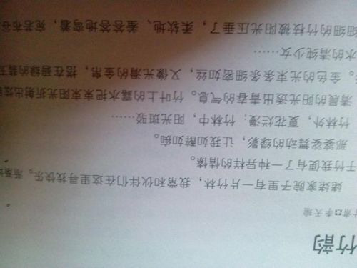 作文,描寫,時(shí)光,校園