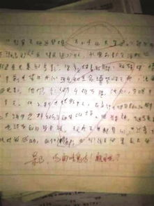 幾年后的校園作文,幾年后的學校作文,幾年后的家鄉(xiāng)作文