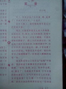 校園的雪景45o字作文