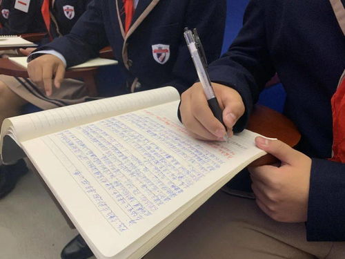 反校園欺凌法制講座心得體會(huì)作文