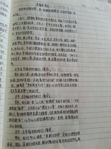 校園安全初二的作文550字