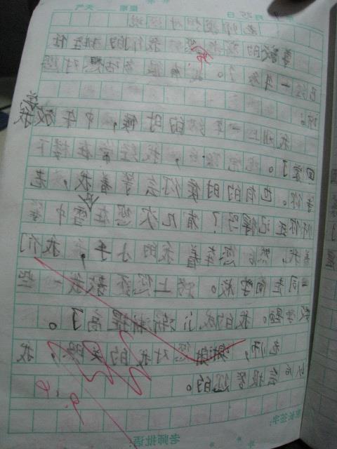 校園體育活動(dòng)作文300字作文怎么寫