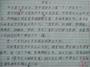 校園清潔工阿姨作文400字