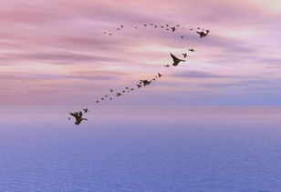 夢(mèng)想校園作文350字,夢(mèng)想校園作文是寫(xiě)什么的,我夢(mèng)想中的校園作文