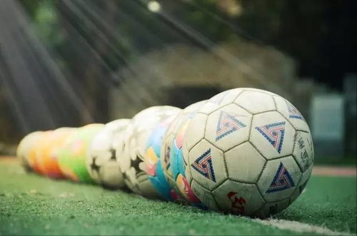 我和校園足球共成長(zhǎng)作文500字