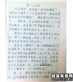 校園美景作文700字散文