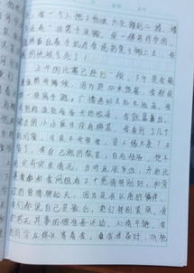 小學(xué)校園環(huán)保征文1000字作文