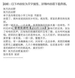 秋天的田野公園校園作文300字以上