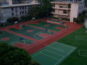 寫校園操場作文300字