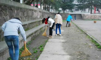 學(xué)校大掃除作文500字(要寫校園)