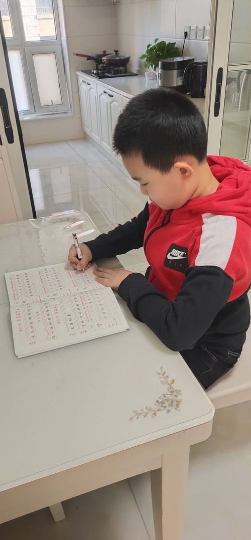 作文,我想念,校園