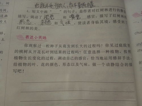 校園的動靜結(jié)合作文100字