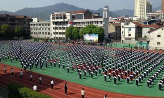 初識(shí)新校園作文800字