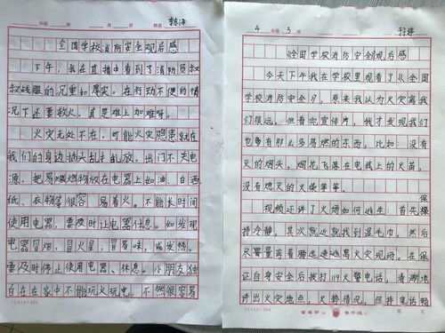 消防安全進校園作文400字