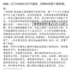 作文校園的夏天