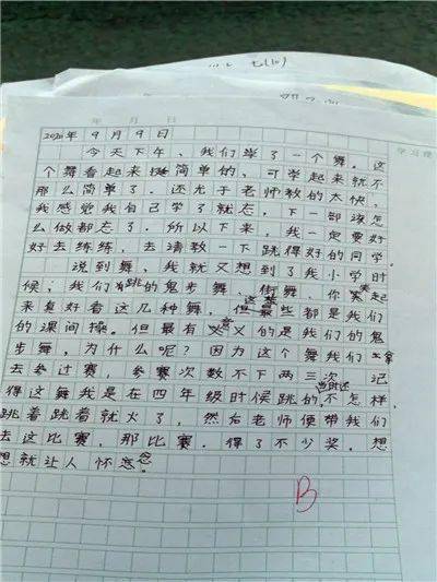 愛國主義,小學(xué)生作文,校園