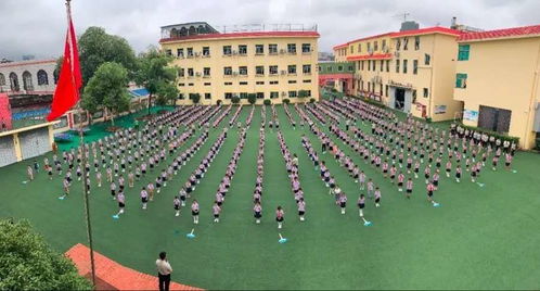 校園活動(dòng)作文升國(guó)旗