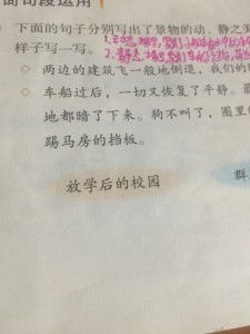 放學(xué)后的校園300字以上作文