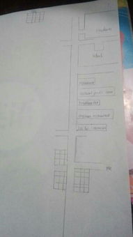 寫寫我的家庭和校園作文