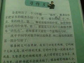 寫(xiě)校園的香樟樹(shù)的作文400字,校園里的香樟樹(shù)作文300字,校園里的香樟樹(shù)作文三年級(jí)300字