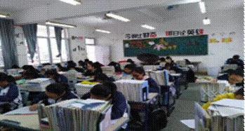 手機進校園800作文