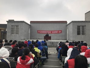 法治太和平安校園作文