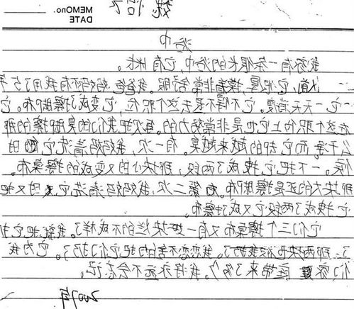 作文,教案,秋天,小學(xué)