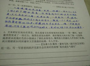 校園的那片花海作文400