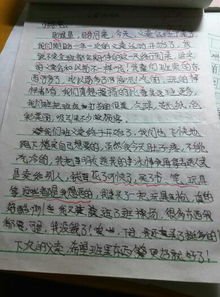 作文,校園里,活動(dòng),快樂(lè)