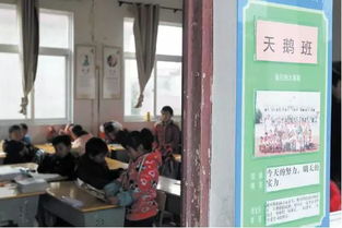 作文,道德,生態(tài),進(jìn)校園