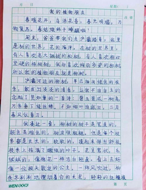 三級(jí)校園活動(dòng)優(yōu)秀作文400字左右