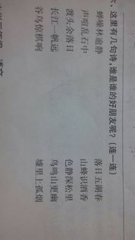 我愛美麗的校園作文,我愛美麗的校園作文400字,我愛美麗的校園作文500字