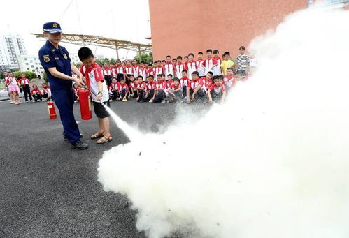 2020消防進校園作文