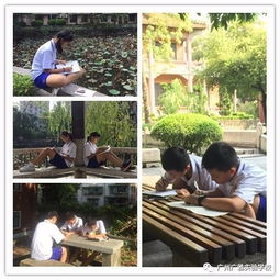 作文,剪影,校園