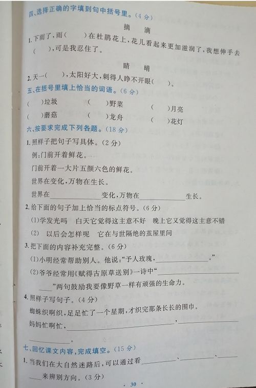 二級下冊作文校園