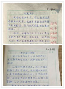 關(guān)于校園誠(chéng)信作文