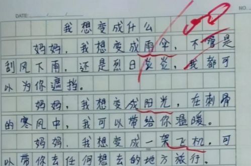 作文,寫一篇,夏天,校園