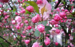 走我們?nèi)バ@春游的作文怎么寫