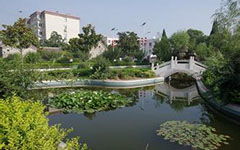 我們的校園夏天作文300字作文