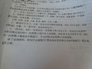 作文,描寫(xiě),校園