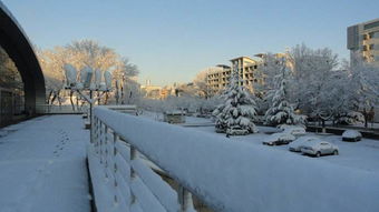 六級校園雪景作文600字