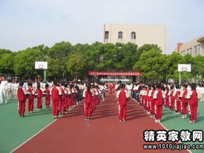 小學(xué)校園運(yùn)動會作文600字,校園運(yùn)動會作文300字三年級,校園運(yùn)動會作文300字左右