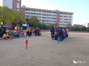 作文,四級,校園生活,歡樂