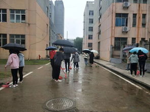 清掃大學(xué)校園作文